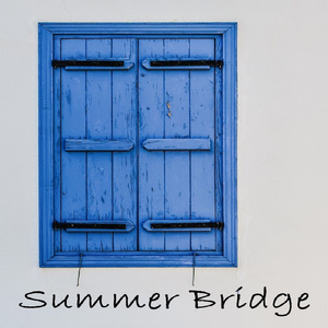 青青插91激情视频
