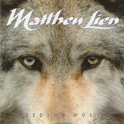 青青插91激情视频
